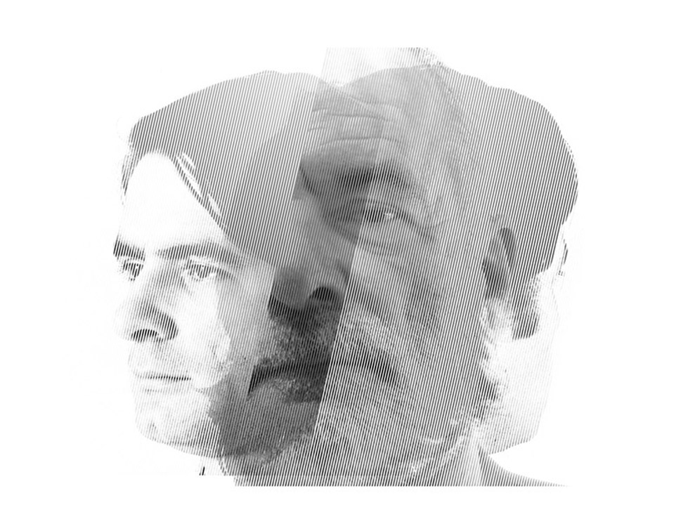 Avvistamenti 2015